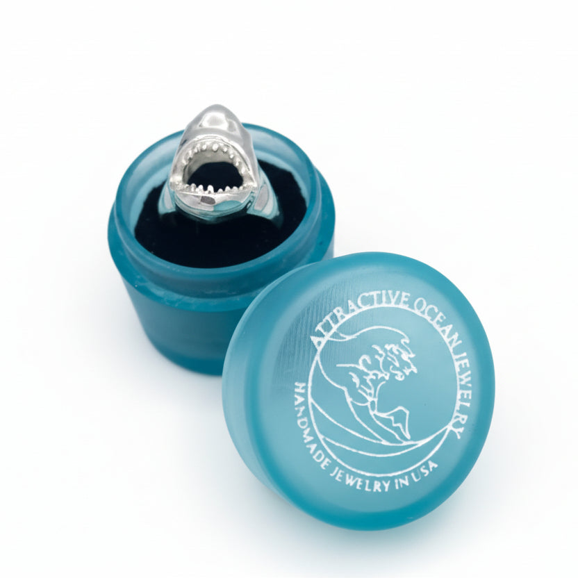 Blue 3D printed box with a silver ring inside on a light blue background