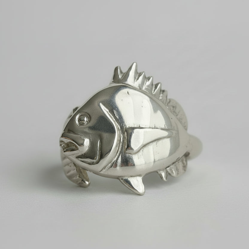 Silver Sheephead Fish ring on a white background