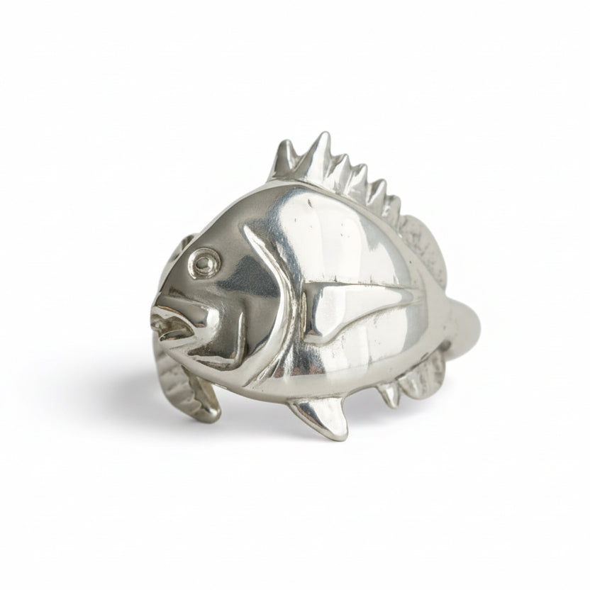 Silver Sheephead Fish ring on a white background