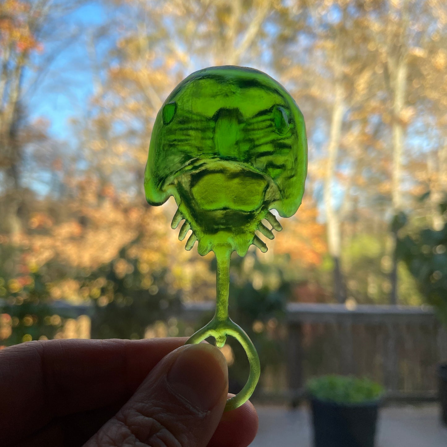 Horseshoe Crab - Charm/Pin/Magnet