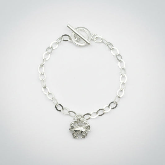 Silver bracelet with a toggle clasp on a light gray background