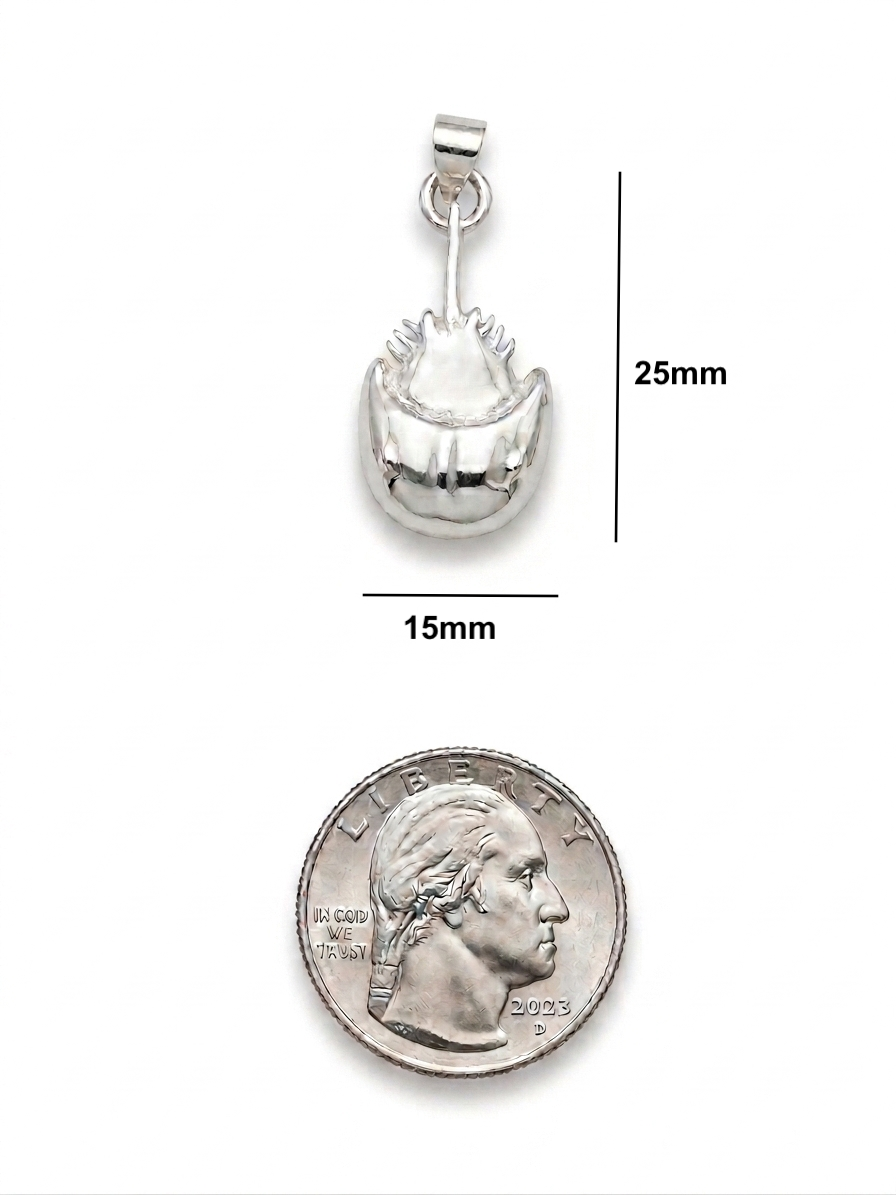 Silver pendant with measurements and a quarter for scale on a white background