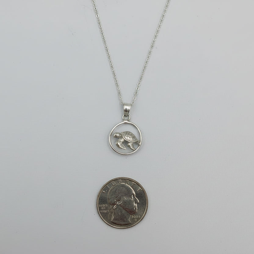 Silver necklace with a pendant next to a quarter coin on a light gray background