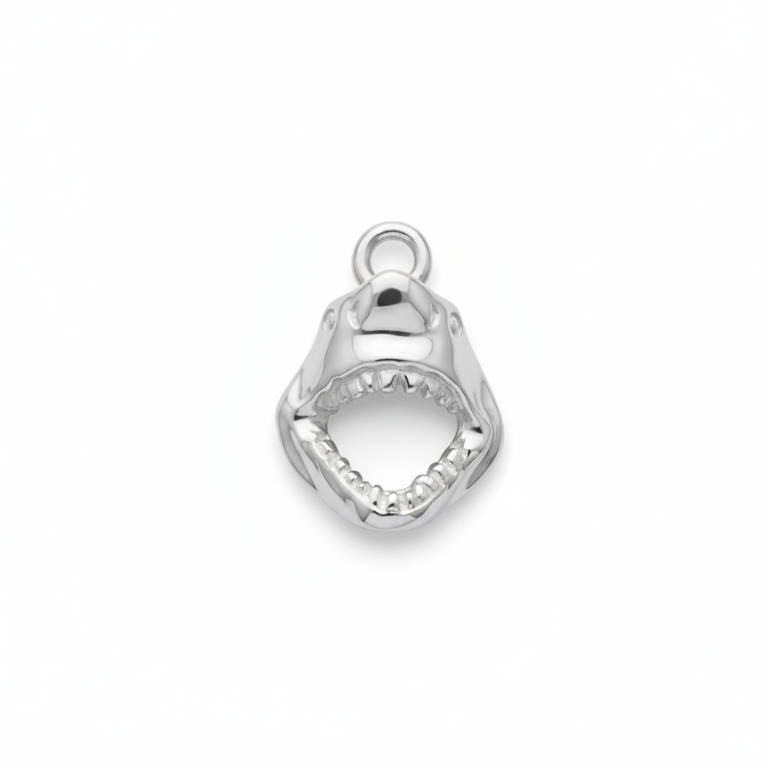 Silver shark tooth pendant on a white background