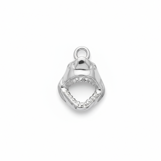 Silver shark tooth pendant on a white background