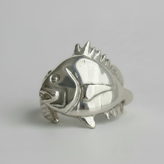 Silver Sheephead Fish ring on a white background