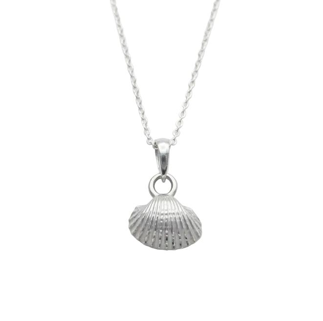A silver shell pendant necklace on a delicate silver chain, shown against a plain white background.