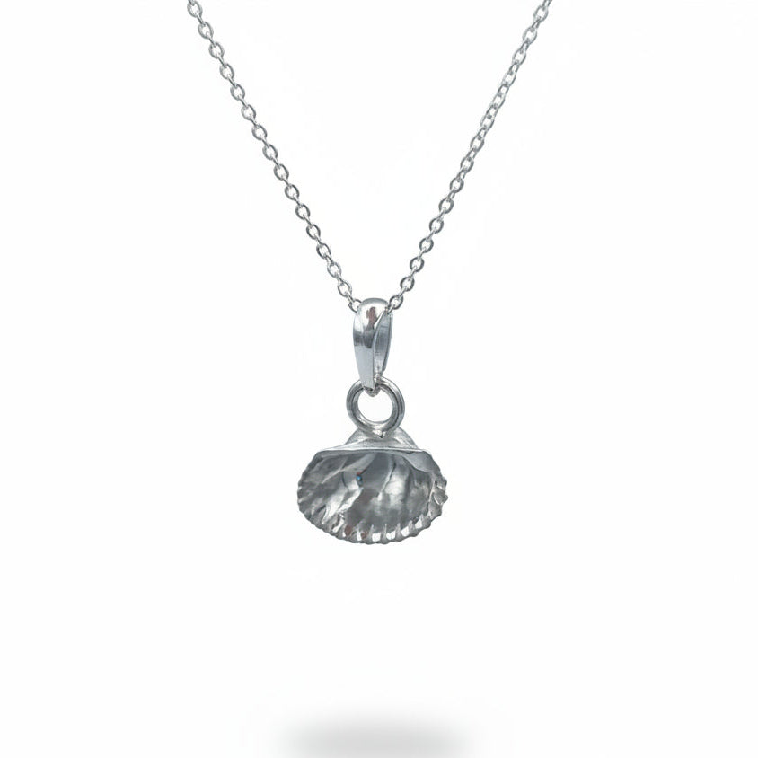 Shell silver necklace showing backside in white backgroud