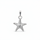 Starfish silver necklace on white background