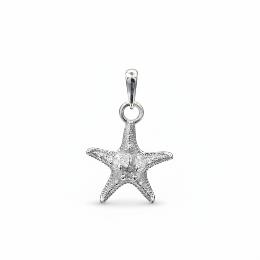 Starfish silver necklace on white background