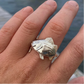 Hand wearing a silver fish-shaped ring with a marina background