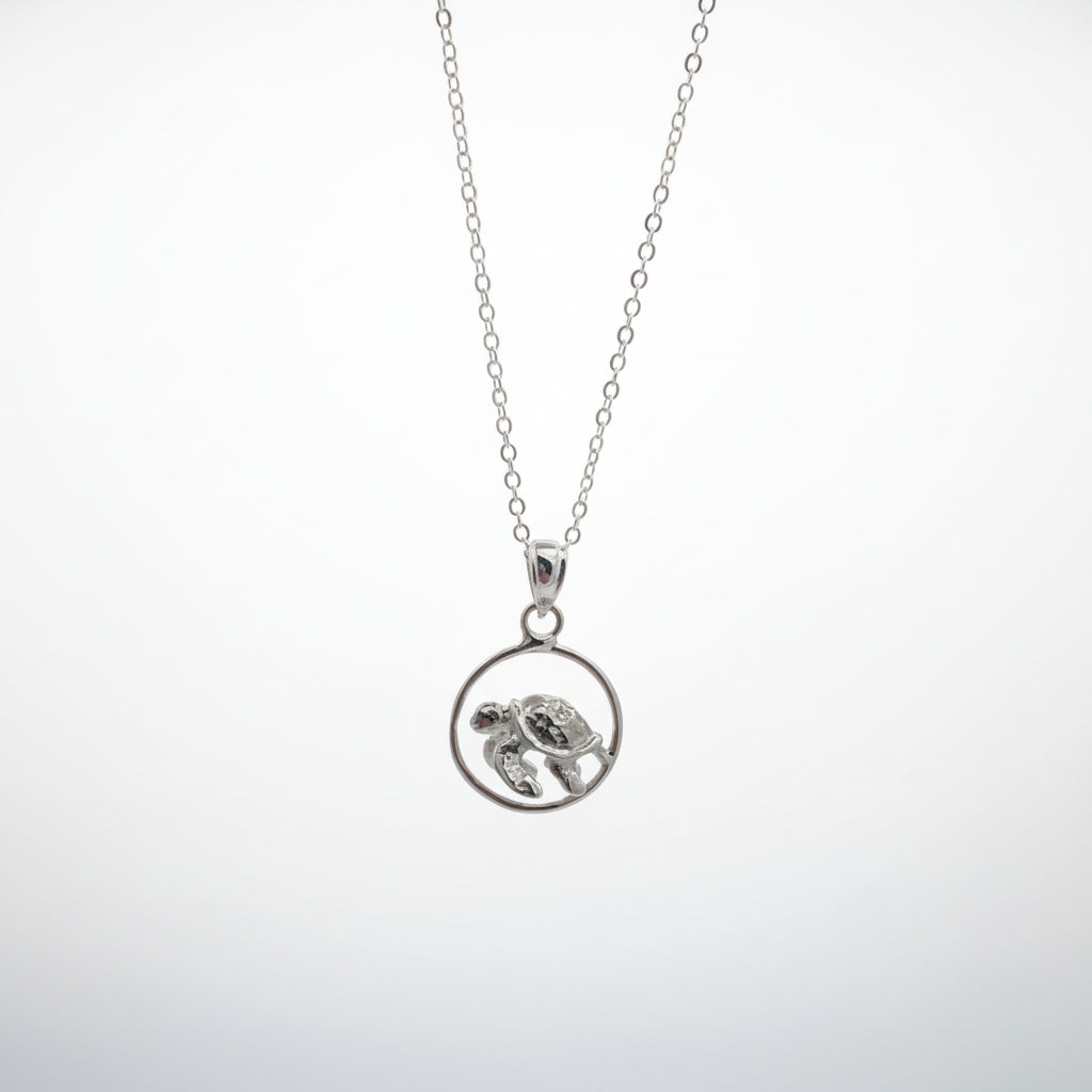 Silver necklace with sea turtle in a circular pendant on a white background 